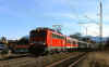 110238MB.jpg (53411 Byte)