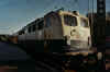 110239MZ.jpg (26824 Byte)