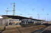 110121mirex.jpg (62394 Byte)