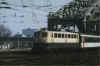 110135DL.jpg (37116 Byte)