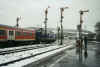 110228CMZ.jpg (36300 Byte)
