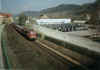 110261MZ.jpg (38045 Byte)
