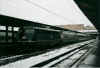110323FS.jpg (49676 Byte)