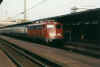 110341FS.jpg (60615 Byte)