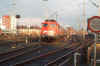 110341KP.jpg (48347 Byte)