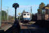 110382SChibKP.jpg (58831 Byte)