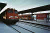 110392bMZ.jpg (30391 Byte)