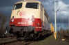 110504dKP.jpg (41785 Byte)