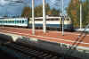 110inGifhorn.jpg (51013 Byte)