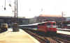 113308MD.JPG (22041 Byte)
